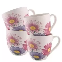 image of Wild Aster 4 Piece Mug Set