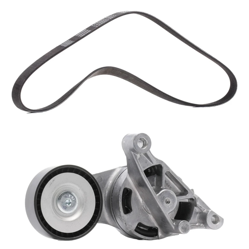 Image of RIDEX PLUS 542R1018P V-ribbed belt set V-Ribbed Belt Set (542)