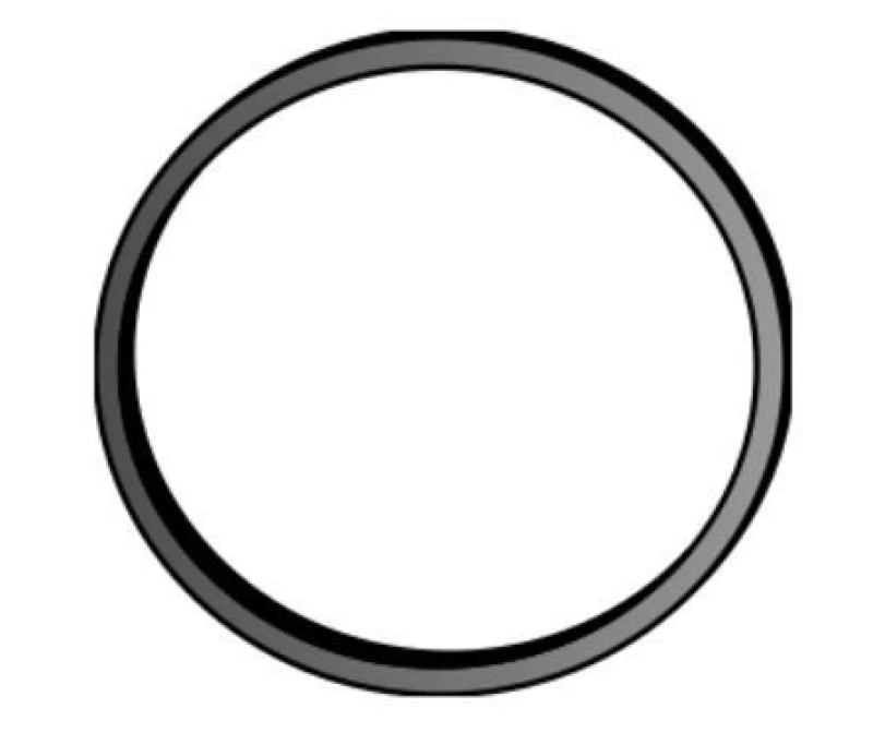 Image of Exhaust pipe gasket VEGAZ TD-105