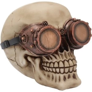 Image of Visionary Skull