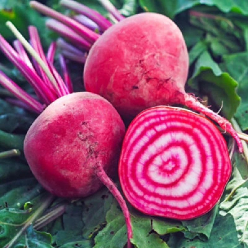 Image of Thompson & Morgan Beetroot 'chioggia' 1 Seed Packet