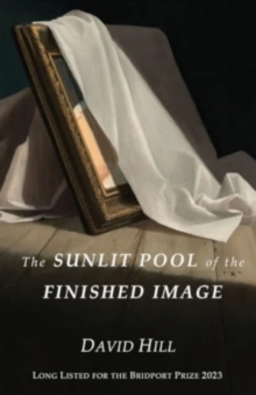 Image of The Sunlit Pool of the Finished Image Paperback / softback