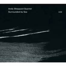 Image of Surrounded By Sea