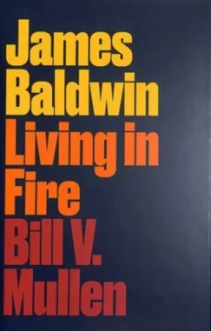 Image of James Baldwin by Bill Mullen