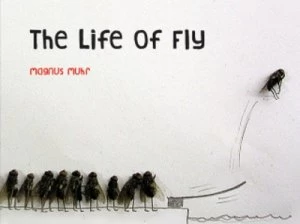 Image of The Life of Fly by Magnus Muhr Hardback