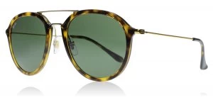 Image of Ray-Ban 4253 Sunglasses Tortoise / Gold 710