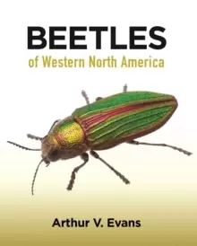 Image of Beetles of Western North America