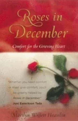 Image of roses in december comfort for the grieving heart