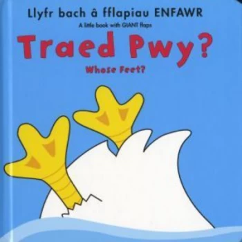 Image of Traed Pwy by Fiona Munro Hardback