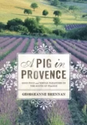 Image of pig in provence good dood and simple pleasures in the south of france