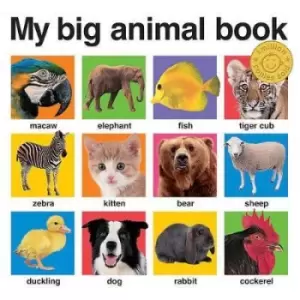 Image of My Big Animal Book by Roger Priddy
