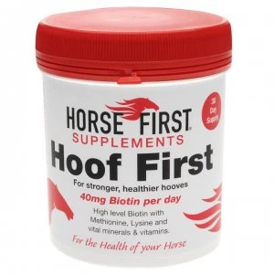 Image of Horse First Hoof First