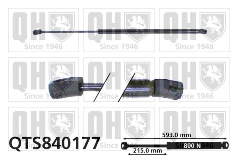 Image of QUINTON HAZELL Tailgate strut QUINTON HAZELL QTS840177