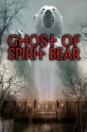 Image of ghost of spirit bear