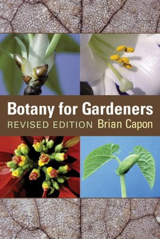 Image of Botany for Gardeners by Brian Capon Paperback