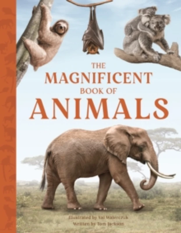 Image of The Magnificent Book of Animals : JOURNEY INTO THE WILDERNESS TO SEE THE MOST MAGNIFICENT ANIMALS Paperback / softback