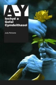 Image of Llawlyfr a I Y Cyflawn by Judy Richards Paperback