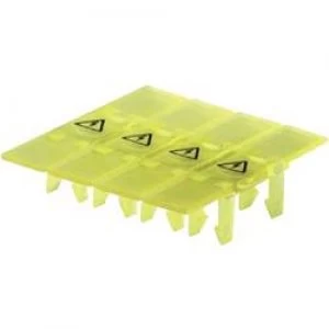 Image of NA AD VB 104 Wieland Content