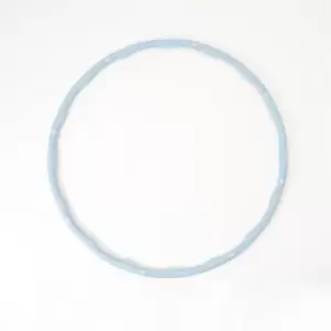 image of USA Pro Weighted Fitness Hula Hoop - Multi