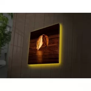 Image of 4040DACT-36 Multicolor Decorative LED Lighted Canvas Painting