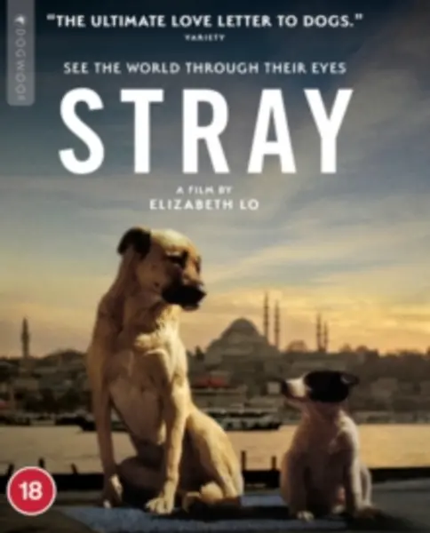 Stray Bluray