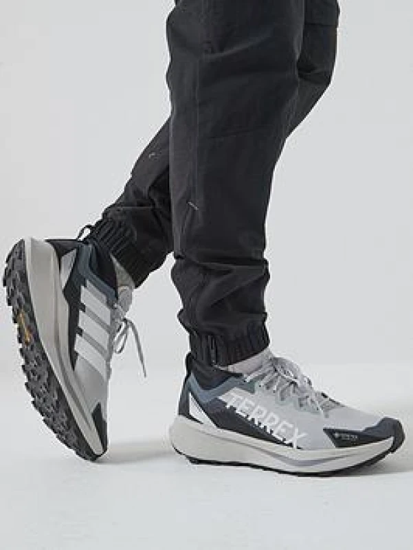Image of Trail running shoes adidas Terrex Agravic GTX Gris Male 39 1/3