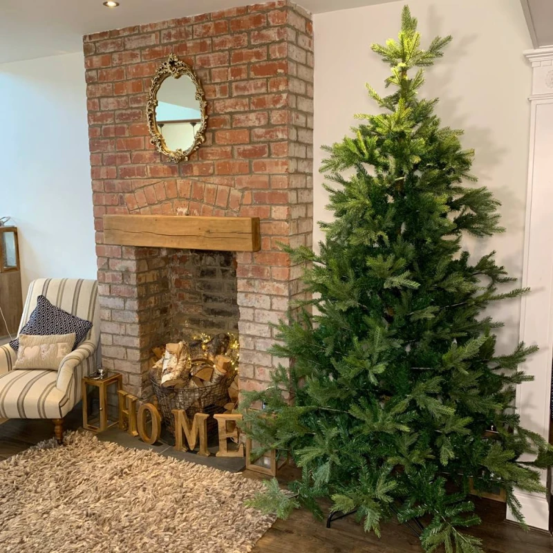 Image of Samuel Alexander Everlands 240cm (8ft) Green Grandis Fir Real Look Christmas Tree 2935 Tips Green Unisex