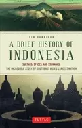Image of brief history of indonesia sultans spices and tsunamis the incredible story