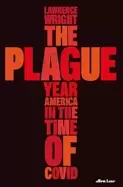 Image of plague year america in the time of covid