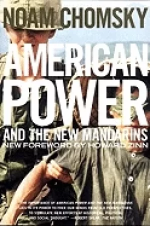 Image of american power and the new mandarins historical and political essays