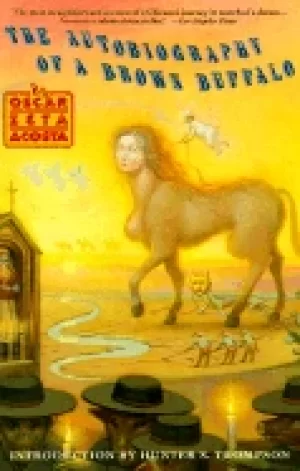 Image of autobiography of a brown buffalo