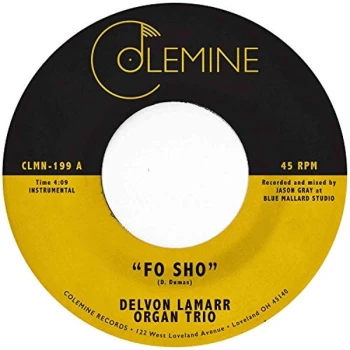 Image of Delvon Lamarr Organ Trio - Fo Sho Vinyl