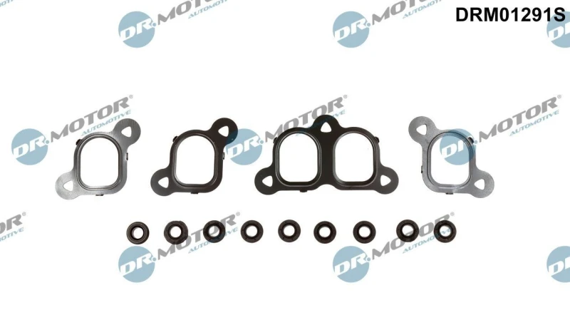 Image of DR.MOTOR AUTOMOTIVE Gasket Set, intake manifold DR.MOTOR AUTOMOTIVE DRM01291S