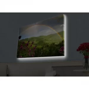 Image of 4570HDACT-094 Multicolor Decorative LED Lighted Canvas Painting