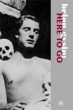 Image of Brion Gysin by Terry Wilson Book