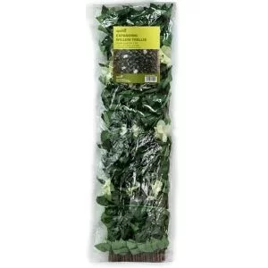 Image of Apollo Apple Leaf Contemporary Overlap Trellis Panel (W)2M (H)1M
