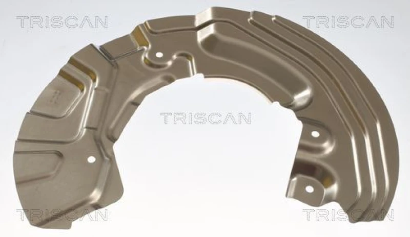 Image of TRISCAN Brake disc backing plate TRISCAN 8125 11120