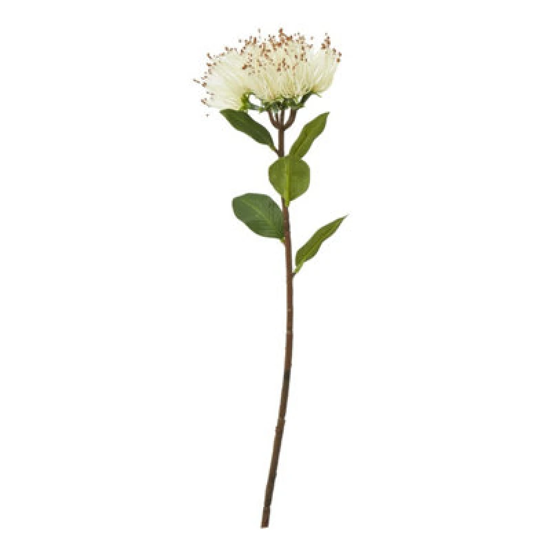 Image of Hill Interiors Protea Nitida Stem Artificial Plant Cream (One Size)