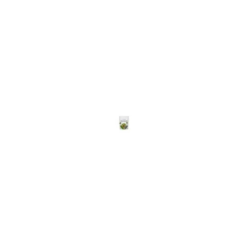 Image of Organic 100% Pumpkin Seed Protein Powder - 350g - 91405 - Clearspring