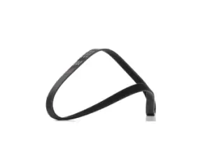 Image of RIDEX PLUS V-ribbed belt VW,AUDI,BMW 305P0425P 55193366,551933660,04E145933AG 04E145933AL,04E145933P,04E145933R,11287618848,7618848,51761849,55193366