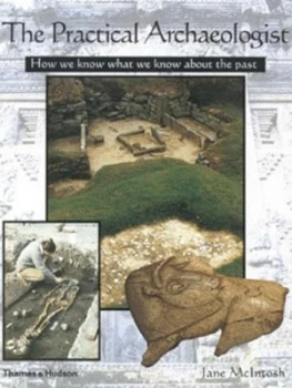 Image of The Practical Archaeologist by Jane Mcintosh Paperback