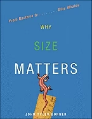 Image of why size matters from bacteria to blue whales