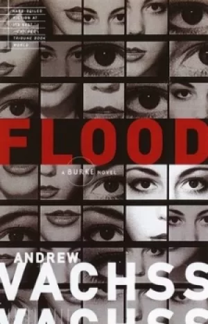 Image of Flood by Andrew H Vachss