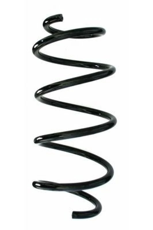 Image of Coil spring SPIDAN 87700