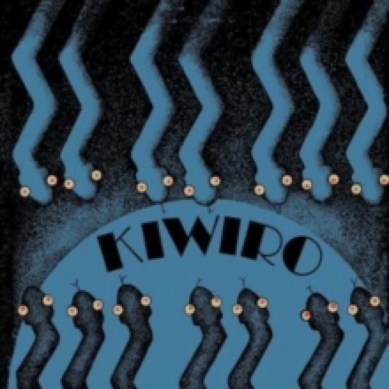 Image of Vijana wa kazi Vinyl