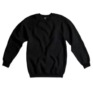 image of SG Mens Raglan Sleeve Crew Neck Sweatshirt (S) (Black)