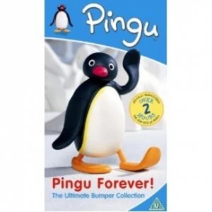 Image of Pingu: Forever - Bumper collection DVD