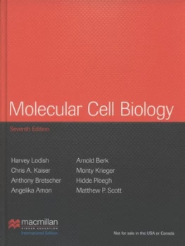 Image of Molecular Cell Biology by Harvey Lodish Hardback