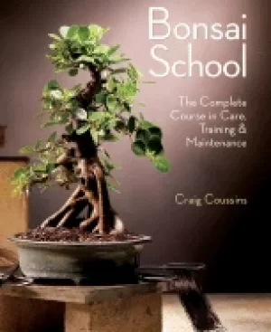 Image of bonsai school