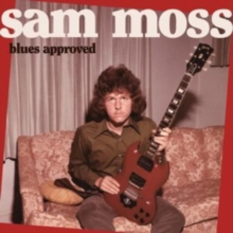 Image of Blues approved Vinyl